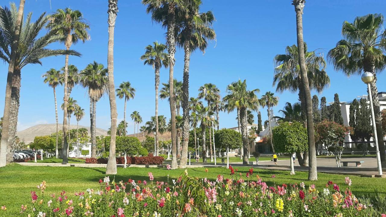 Comfortable Apartment In Las Americas, Ph317 With Pool Next To The Ocean 플라야데라스아메리카스 외부 사진